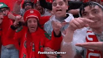 Funny Reaction Fifa Celebration GIF