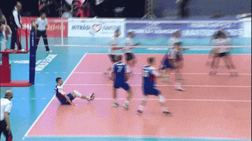 Czech Republic Wow GIF by Volleyball World