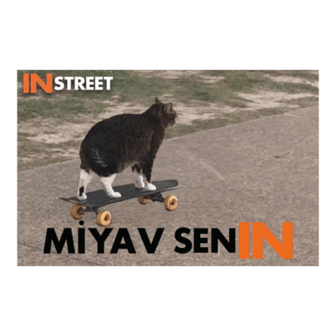 Sokak Sticker by IN STREET