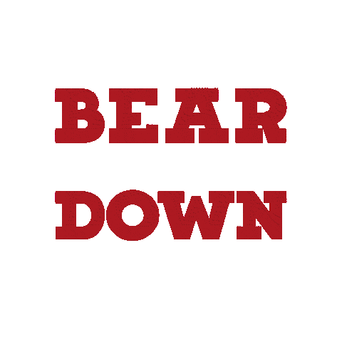 Wildcats Arizonawildcats Sticker by The University of Arizona