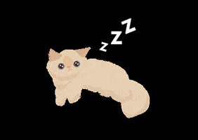 Sleepy Cat GIF