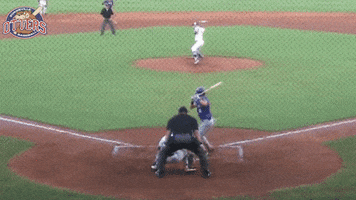 EvansvilleOtters baseball swag looking league GIF