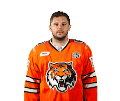 Hockey Tiger Sticker by HC Amur