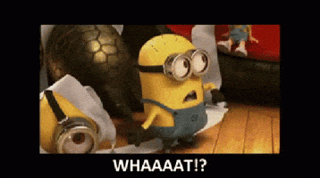 Despicable Me Minion Gifs Get The Best Gif On Giphy