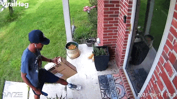 Delivery Driver Flees After Bird Attack GIF by ViralHog