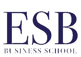 Who Are We International Business Sticker by IB Vision ESB