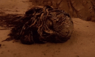 Realending GIF