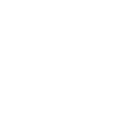 Actiz Optimizers Sticker
