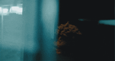 GIF by Roy Woods