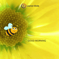 Happy Flower GIF by Learner Circle