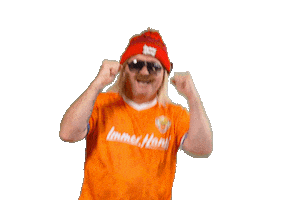 Nederlands Elftal Ek Sticker by Immer Hansi