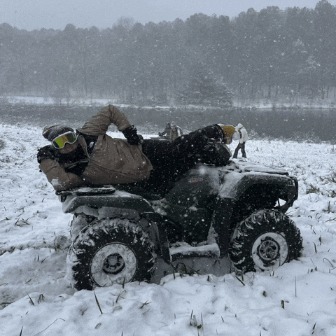 4 Wheeler Rob GIF