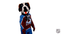 Coloradoavalanche GIFs - Get the best GIF on GIPHY
