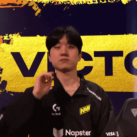 Navi Lec GIF by Natus Vincere