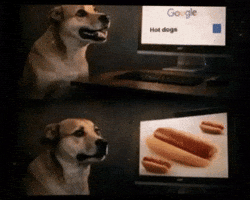 Hot Dogs Dog GIF