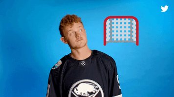 stanley cup hockey GIF by Twitter