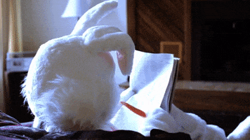 Real Estate Bunny GIF by Silicon Beach Homes
