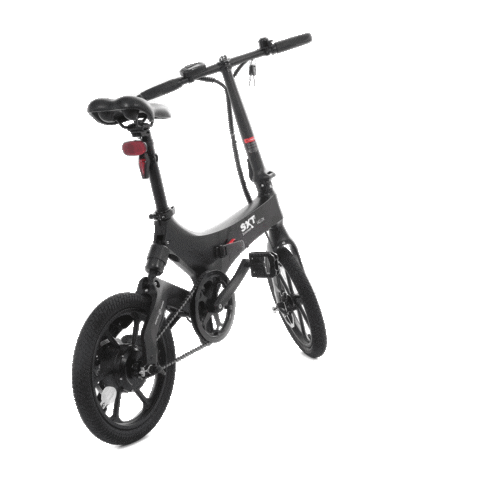 SXT SCOOTERS Sticker