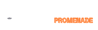 Pickleball Promenade Sticker by Pickleplex Social Club