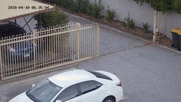 Garden Themews GIF
