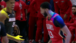 New Orleans Friends GIF by NBA
