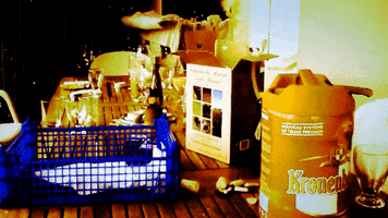 party beer GIF by The NGB