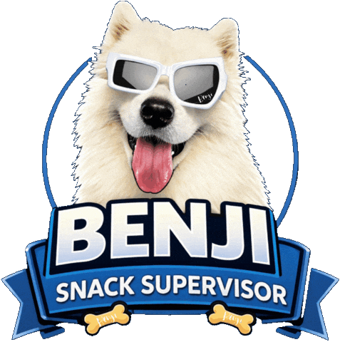 Snack Cute Dog Sticker