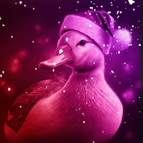 Christmas Duck GIF