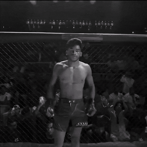 Ufc Mma GIF