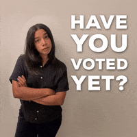 Election 2020 Vote GIF by Hannah Bronfman 