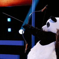 Bow And Arrow GIF by ABC Network