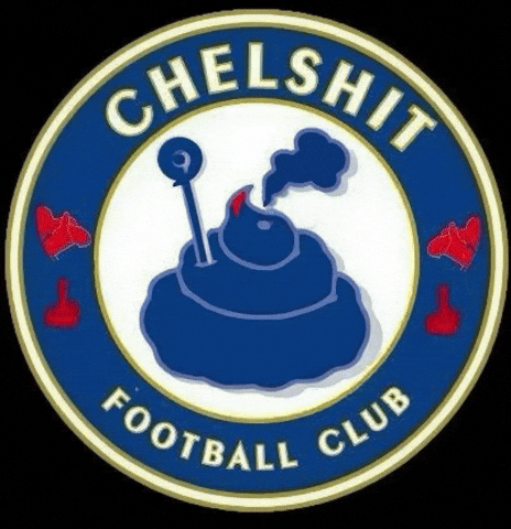 Chelsea Fc Football GIF