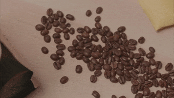 Cup Of Coffee GIF by GIPHY Studios Originals