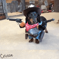 Im A Cowboy Baby Gifs Get The Best Gif On Giphy