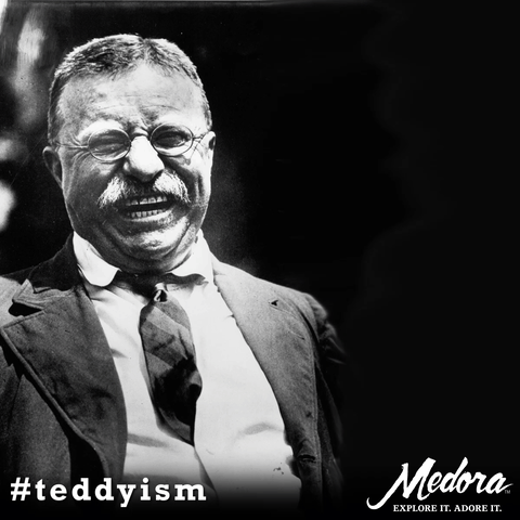 Theodore Roosevelt Quote GIF