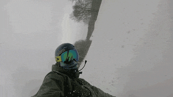 vermont snowboarding GIF by Elevated Locals
