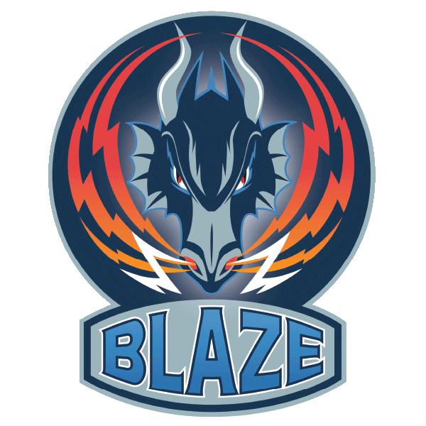 Ice Hockey Blaze Sticker by Elite Ice Hockey League