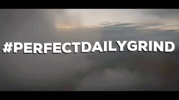 Specialty Coffee GIF by Perfect Daily Grind