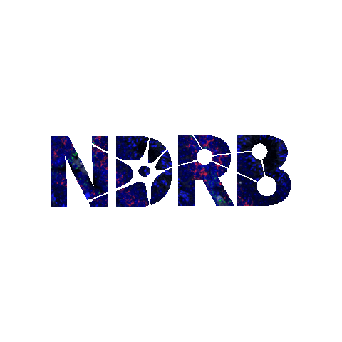 UTSA NDRB Sticker