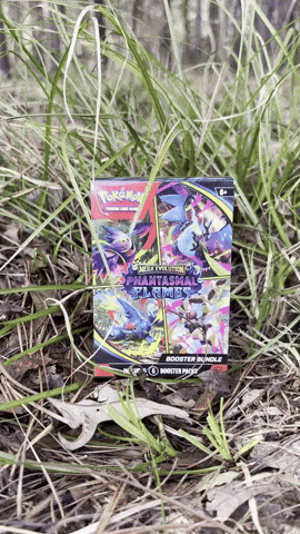 Trading Cards Pokemon GIF