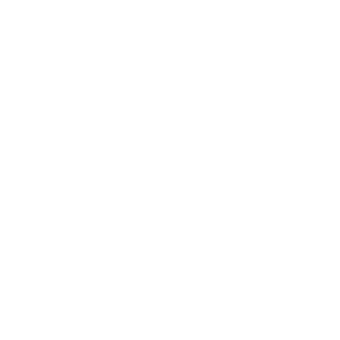 Noir Lumiere Sticker