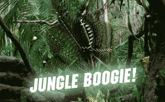Jungle GIF