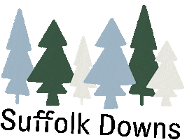 Boston Revere Sticker by Suffolk Downs