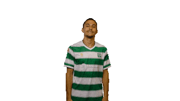 Voetbalvereniging Sticker by Amstelveen Heemraad