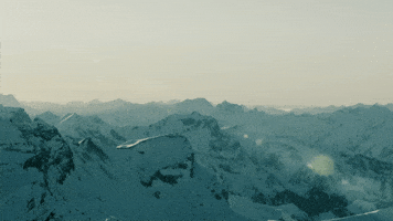 Pilatus Aircraft GIF