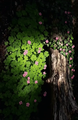 Frames you can feel.