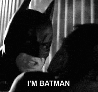 batman begins animated gif