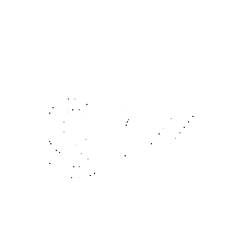 Grizzly Agency Sticker