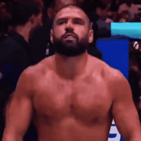 Ufc Mma GIF