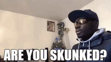 Are You Dumb GIF